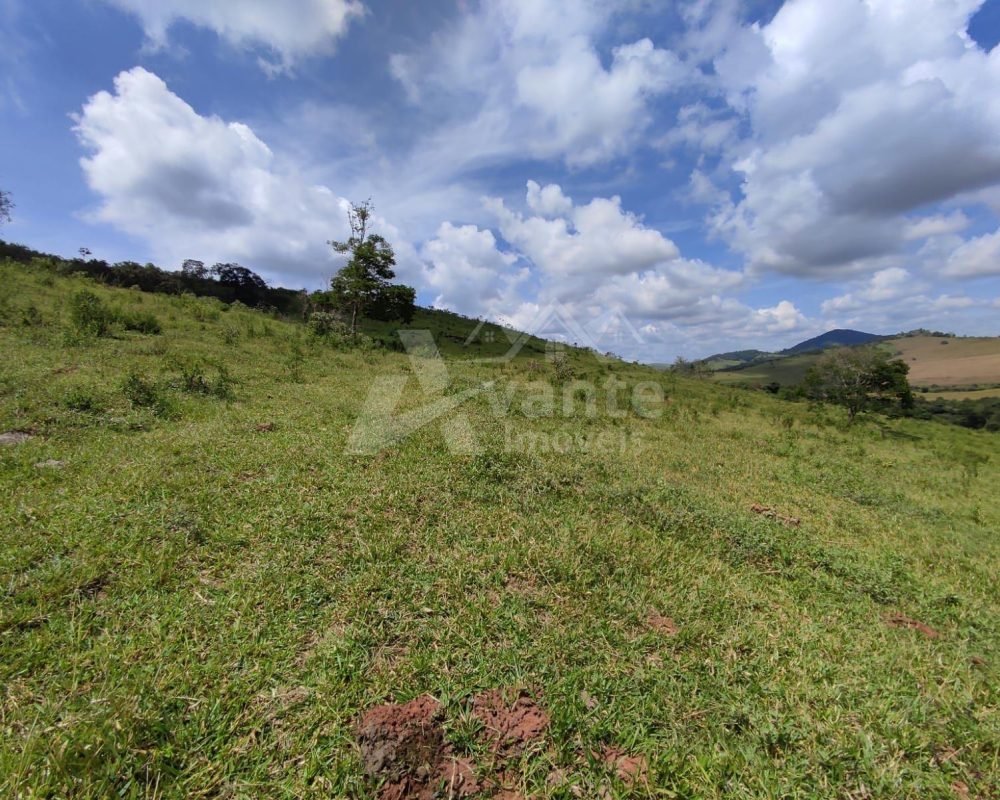 Avante Imóveis ajudando você a realizar seu sonho!