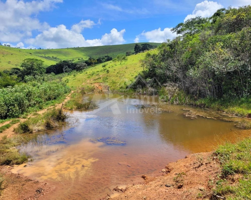 Avante Imóveis ajudando você a realizar seu sonho!