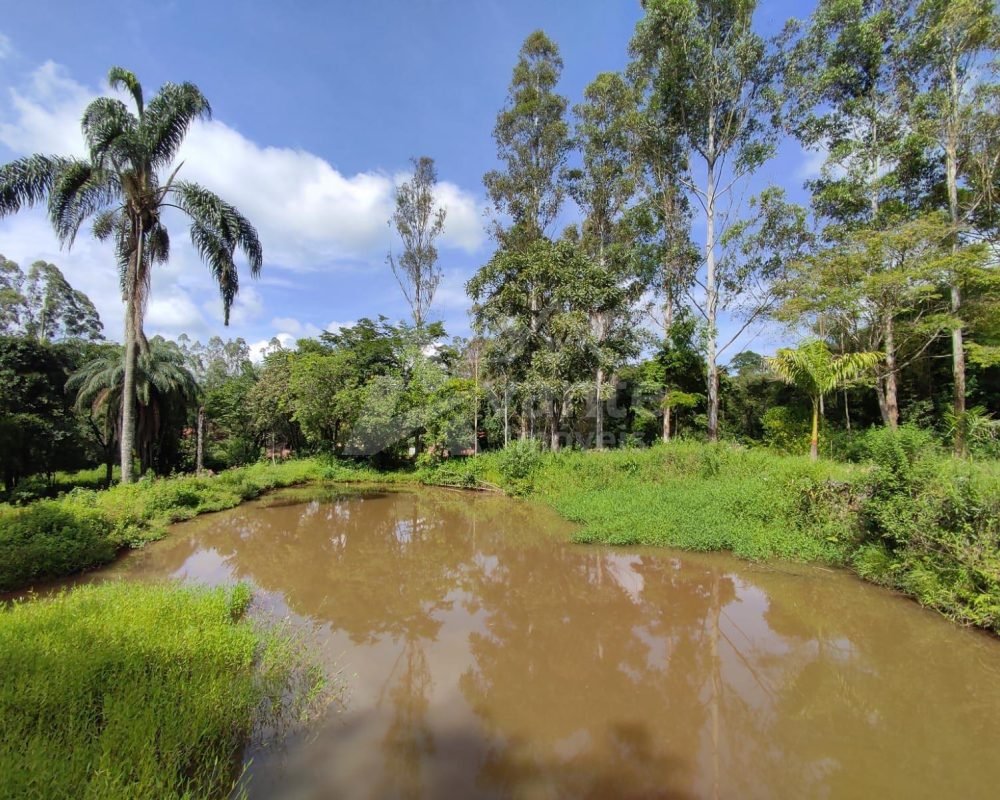 Avante Imóveis ajudando você a realizar seu sonho!