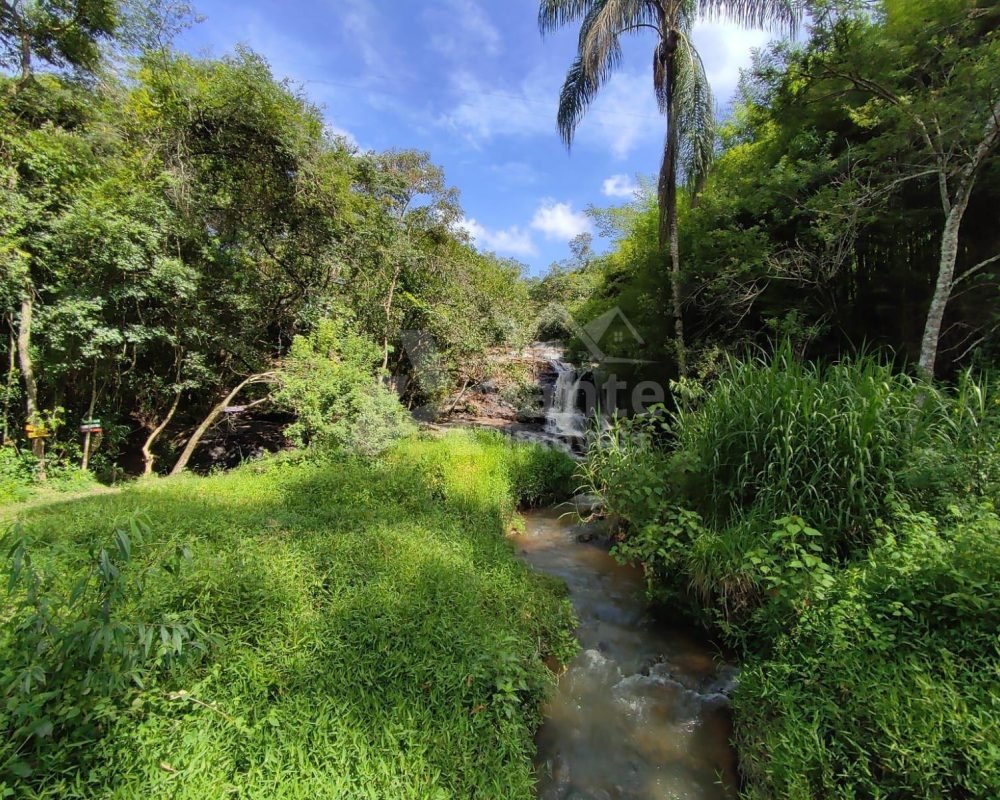 Avante Imóveis ajudando você a realizar seu sonho!
