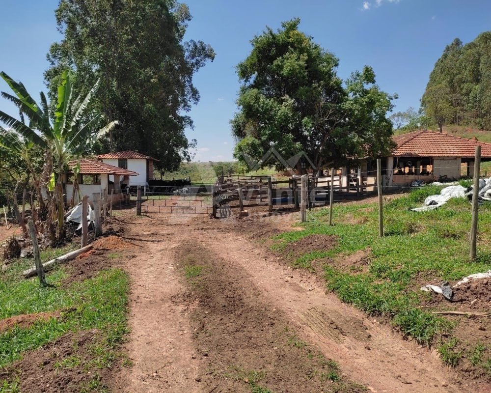 Avante Imóveis ajudando você a realizar seu sonho