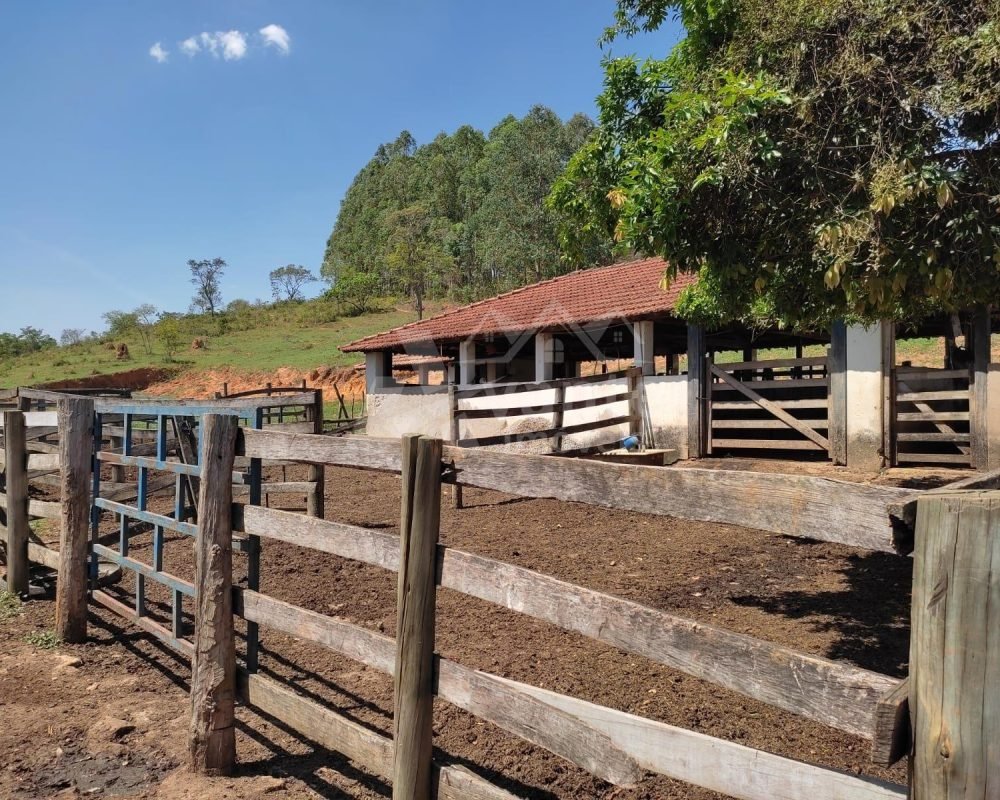 Avante Imóveis ajudando você a realizar seu sonho