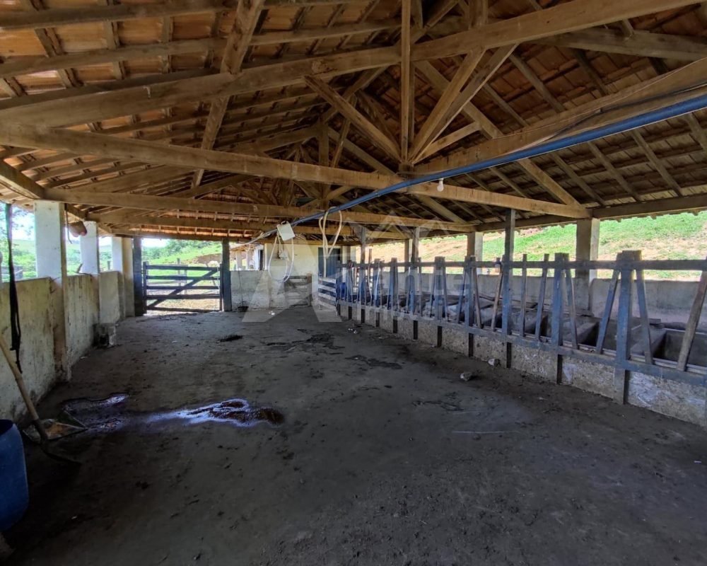 Avante Imóveis ajudando você a realizar seu sonho