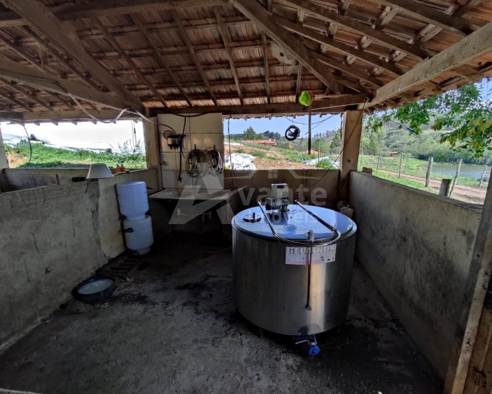 Avante Imóveis ajudando você a realizar seu sonho