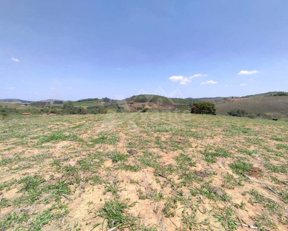 Avante Imóveis ajudando você a realizar seu sonho