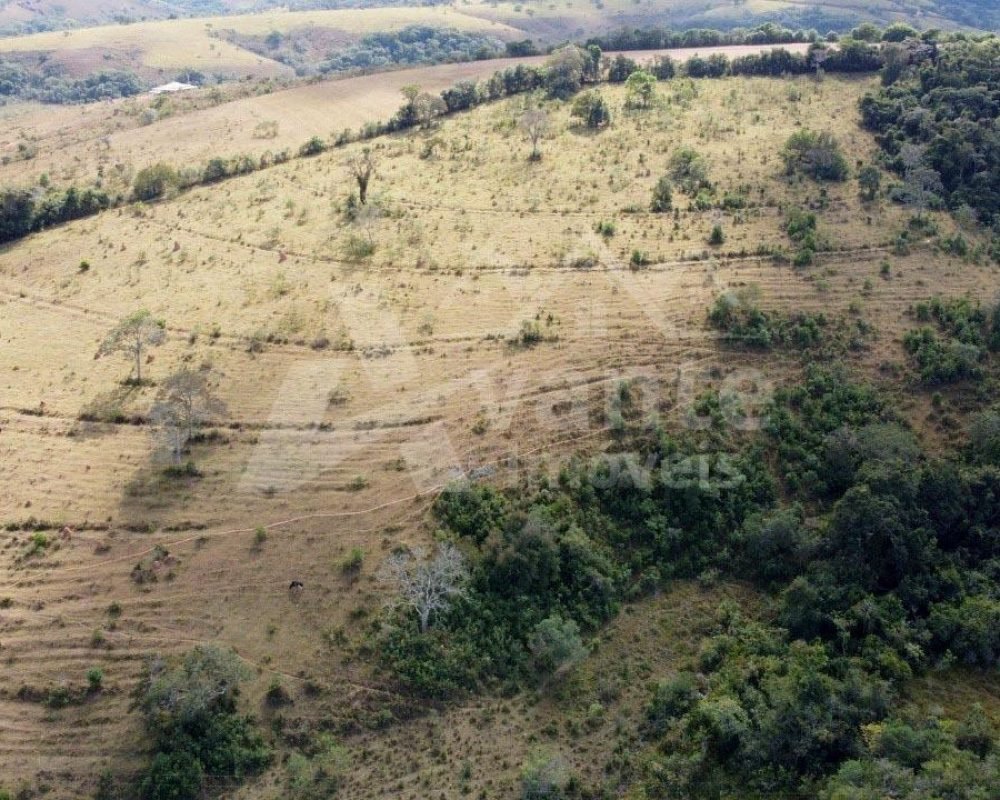 Avante Imóveis ajudando você a realizar seu sonho