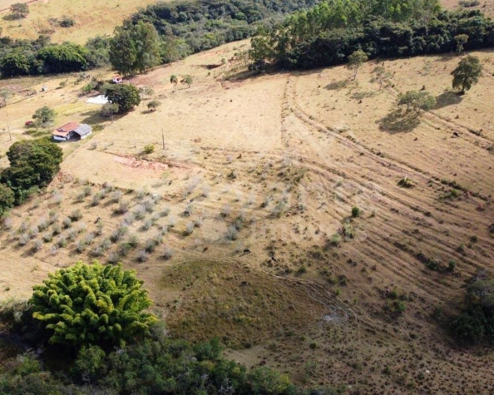 Avante Imóveis ajudando você a realizar seu sonho
