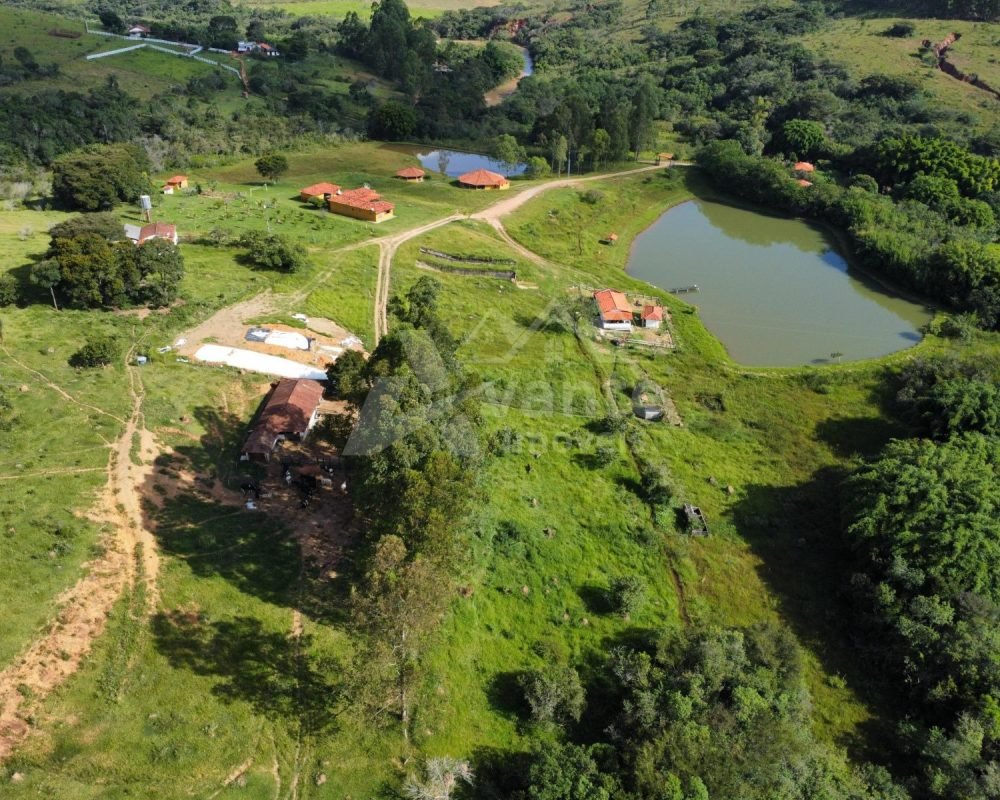 Avante Imóveis ajudando você a realizar seu sonho