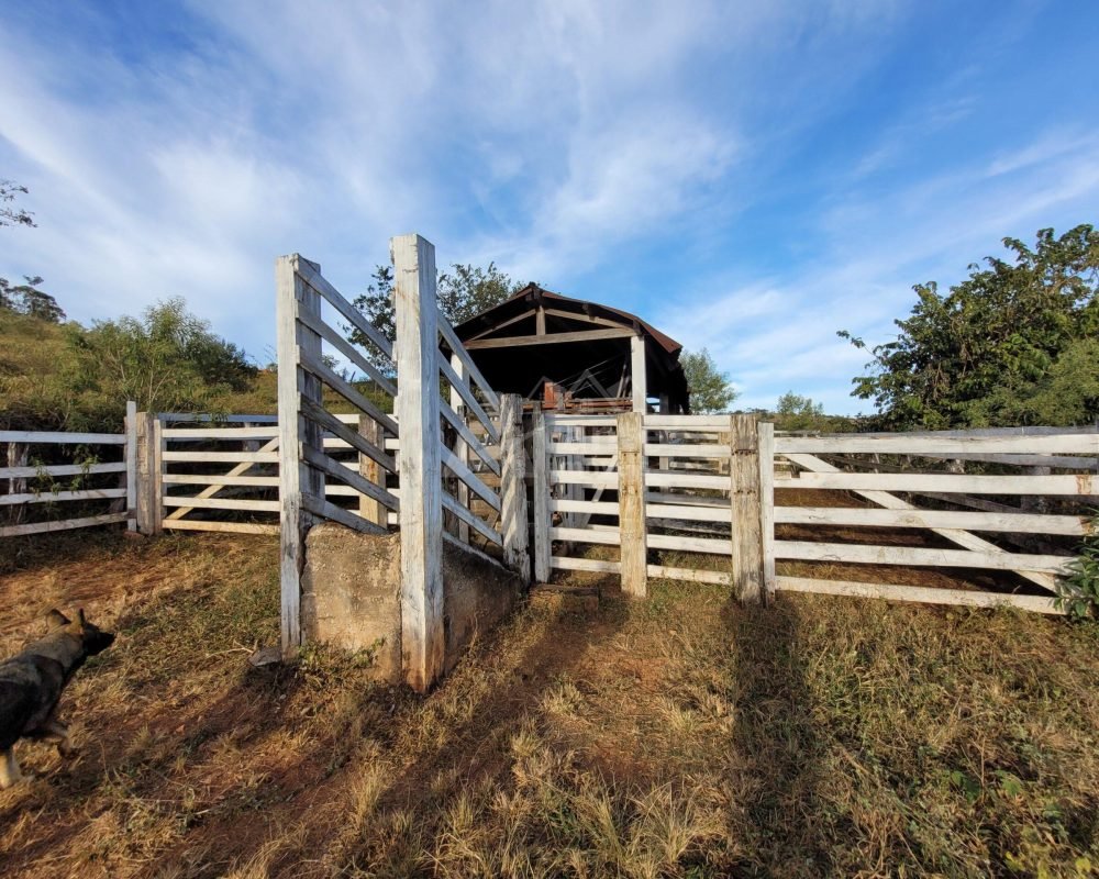 Avante Imóveis ajudando você a realizar seu sonho