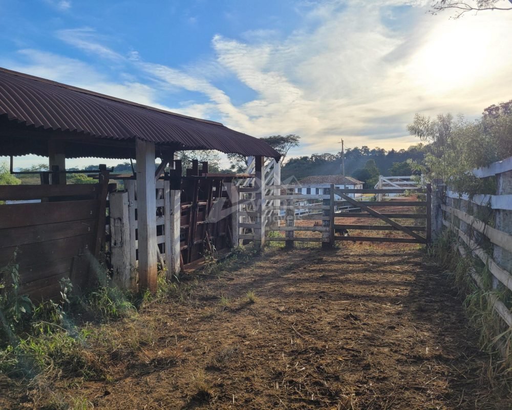 Avante Imóveis ajudando você a realizar seu sonho