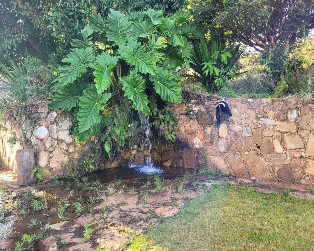 Avante Imóveis ajudando você a realizar seu sonho