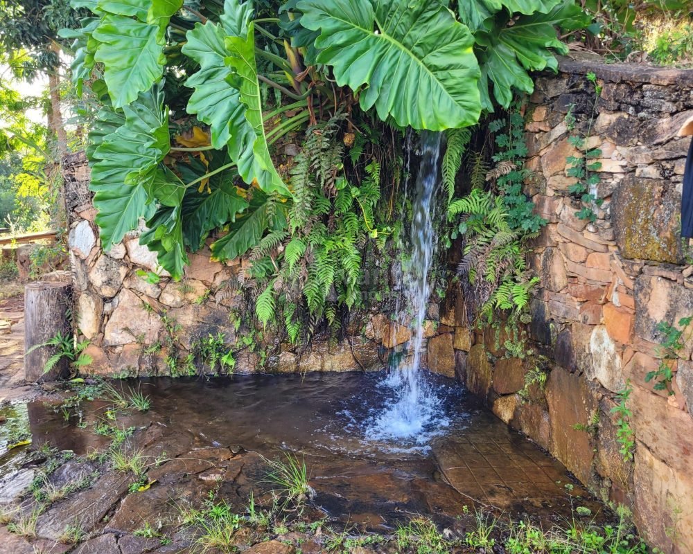 Avante Imóveis ajudando você a realizar seu sonho