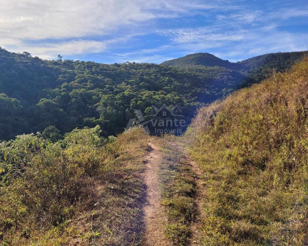 Avante Imóveis ajudando você a realizar seu sonho