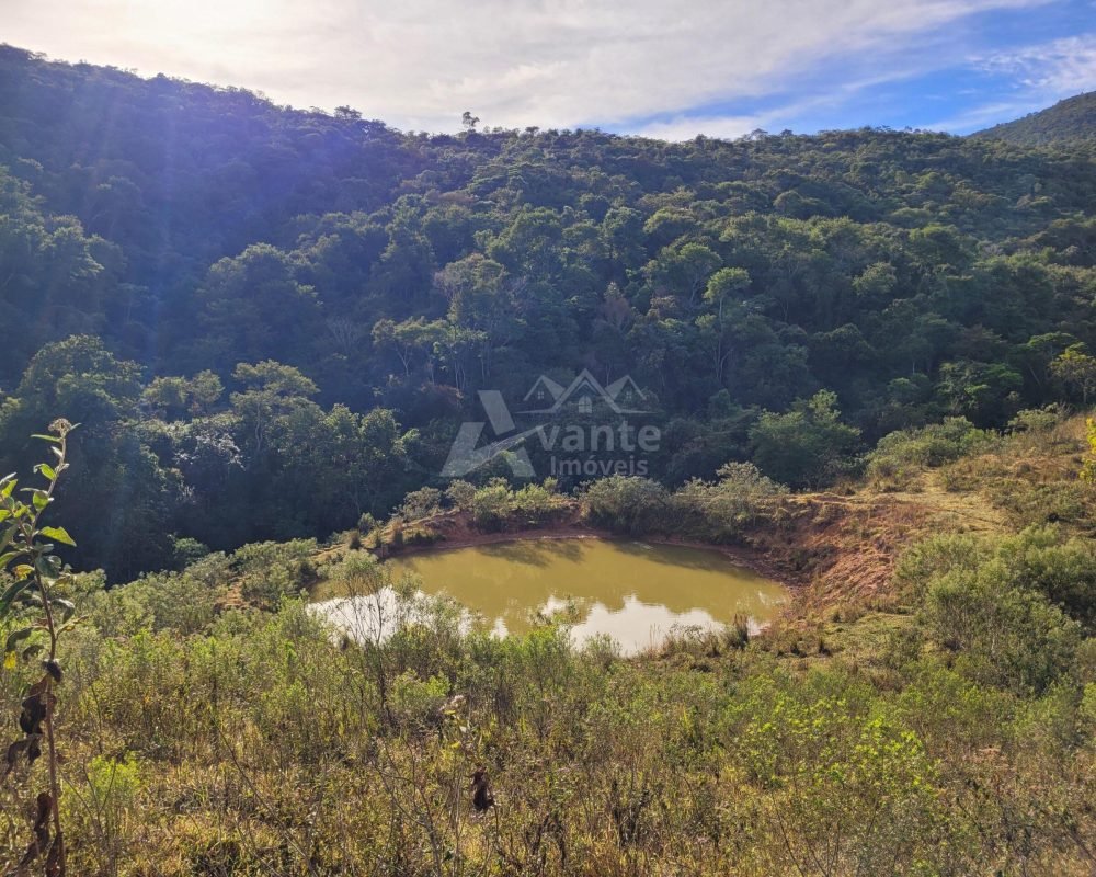 Avante Imóveis ajudando você a realizar seu sonho