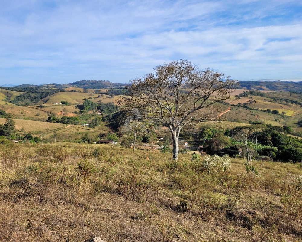 Avante Imóveis ajudando você a realizar seu sonho