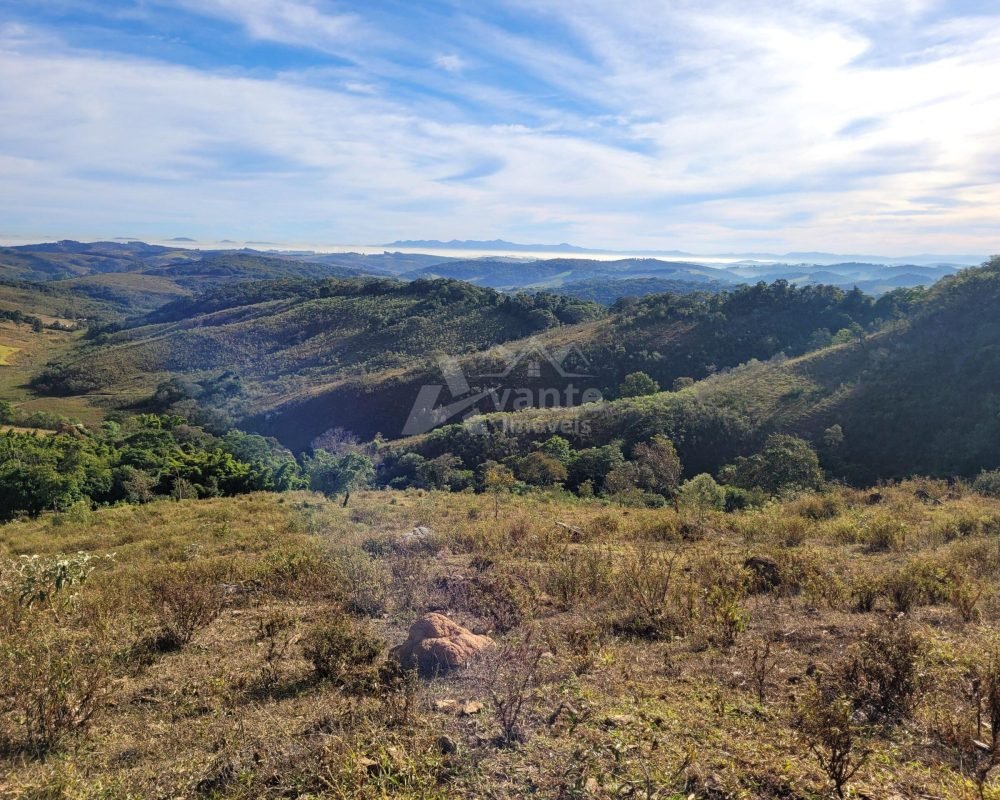 Avante Imóveis ajudando você a realizar seu sonho