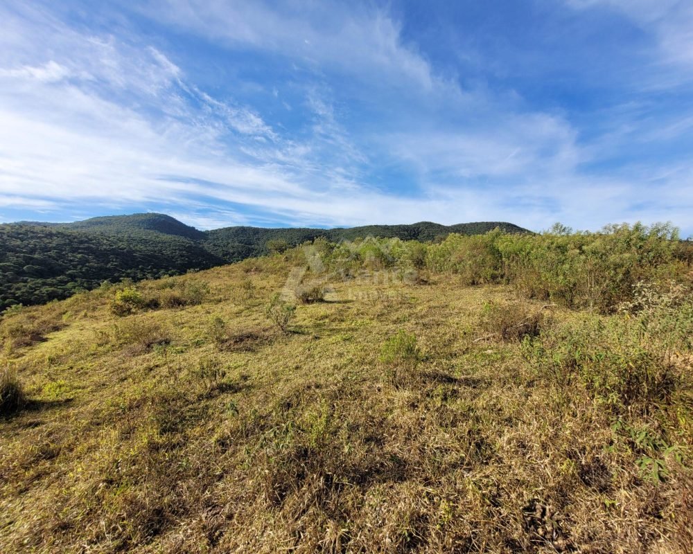 Avante Imóveis ajudando você a realizar seu sonho