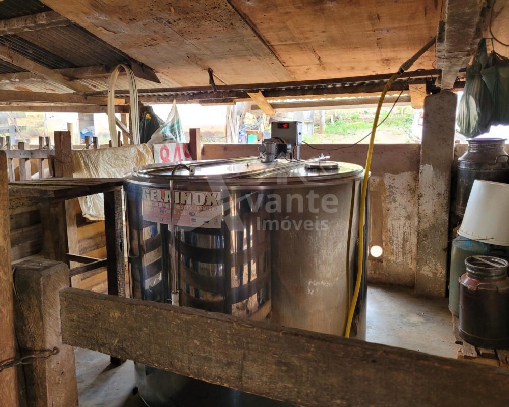 Avante Imóveis ajudando você a realizar seu sonho