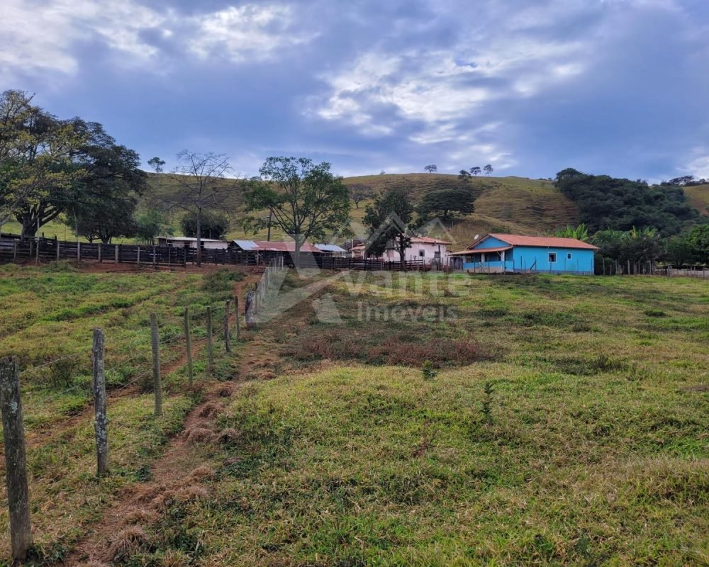 Avante Imóveis ajudando você a realizar seu sonho