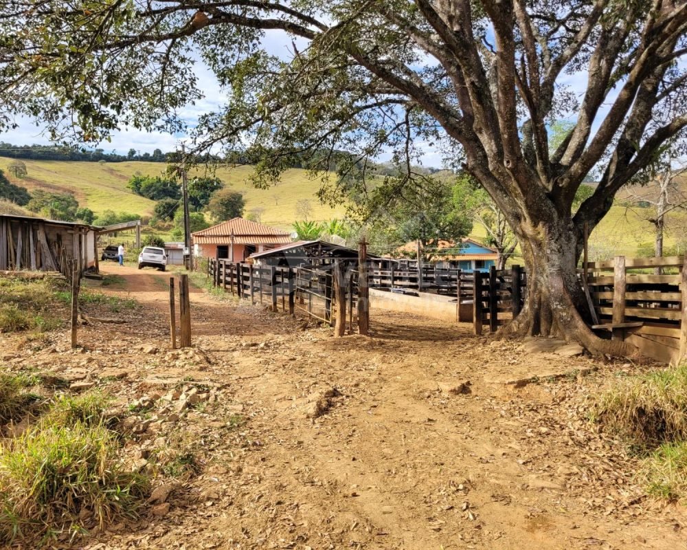 Avante Imóveis ajudando você a realizar seu sonho