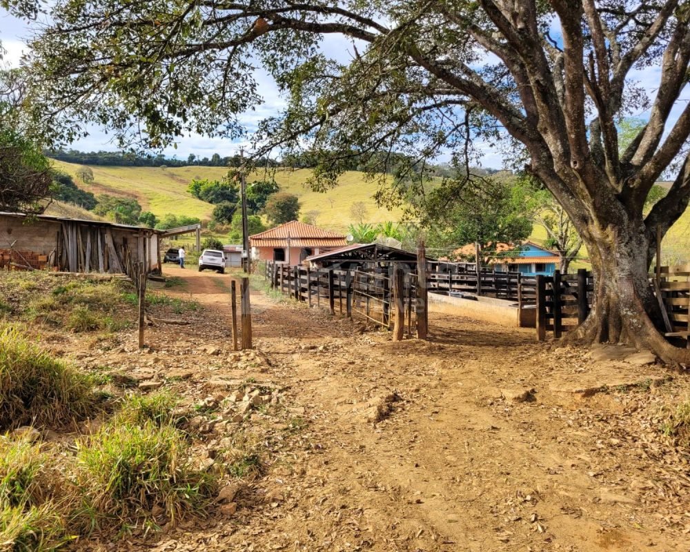 Avante Imóveis ajudando você a realizar seu sonho