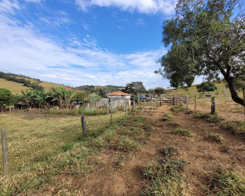 fazenda de ritápolis (16)