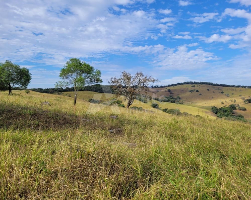 fazenda de ritápolis (18)