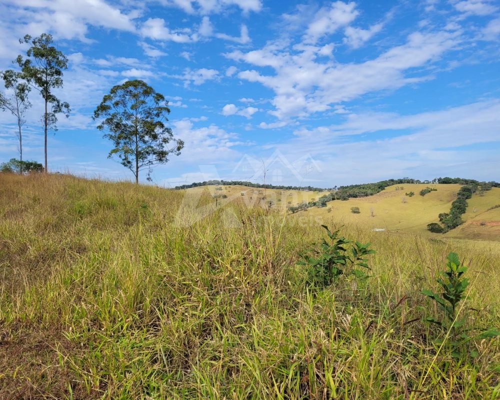 fazenda de ritápolis (19)
