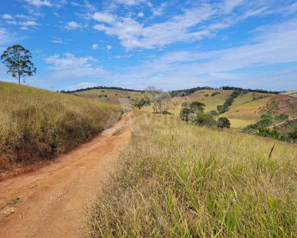 fazenda de ritápolis (20)