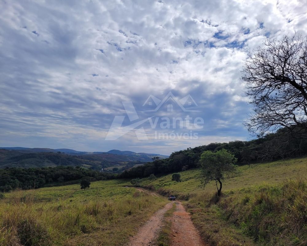 fazenda de ritápolis (21)