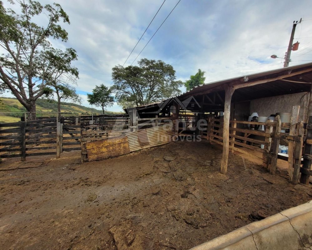 Avante Imóveis ajudando você a realizar seu sonho