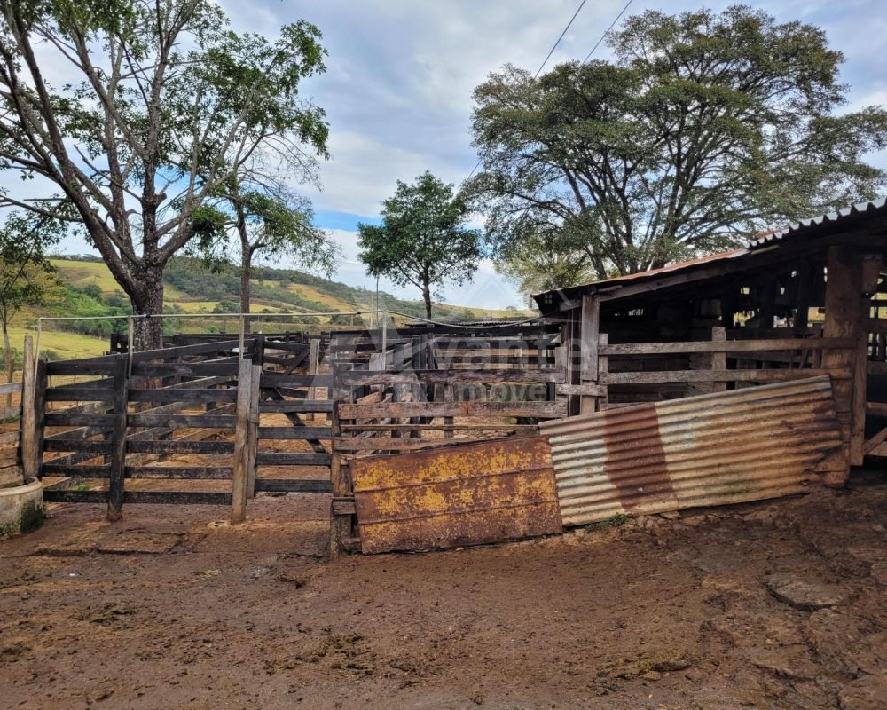 Avante Imóveis ajudando você a realizar seu sonho