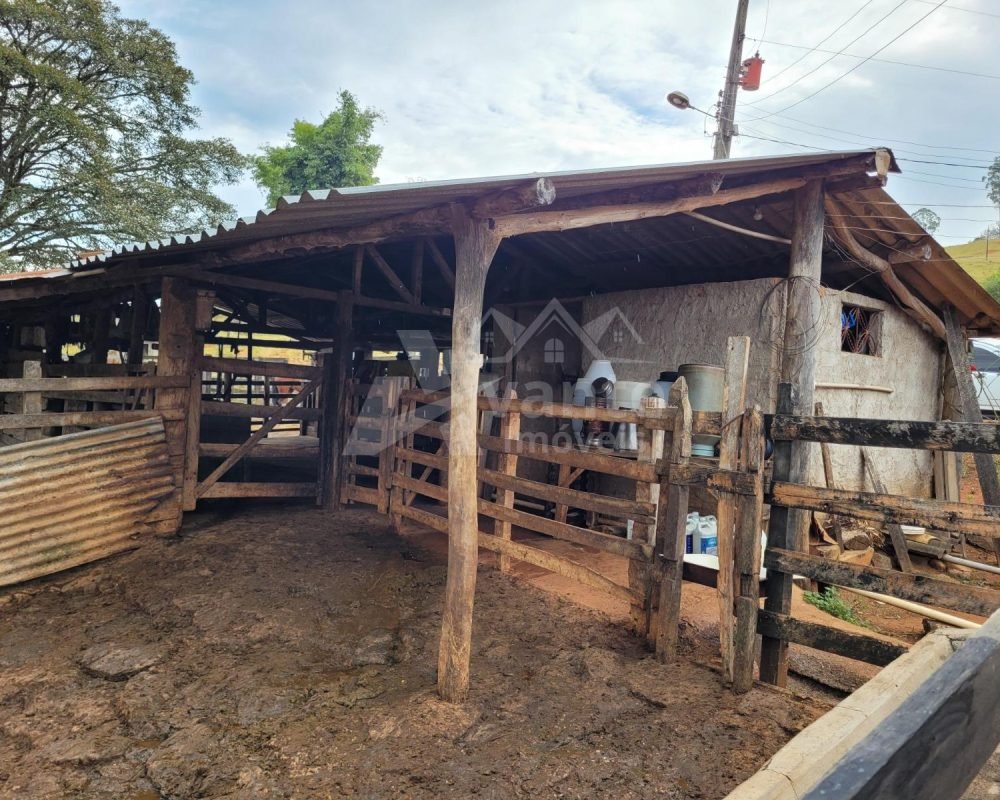 Avante Imóveis ajudando você a realizar seu sonho