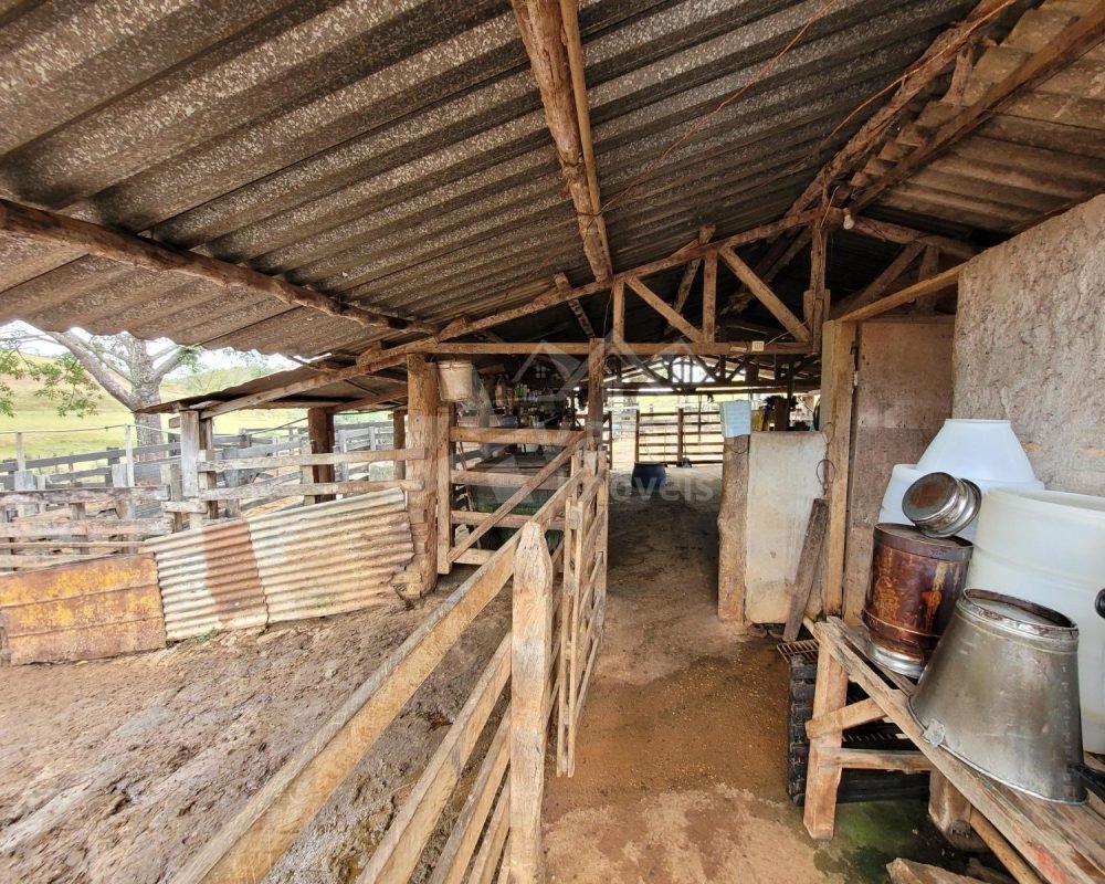 Avante Imóveis ajudando você a realizar seu sonho