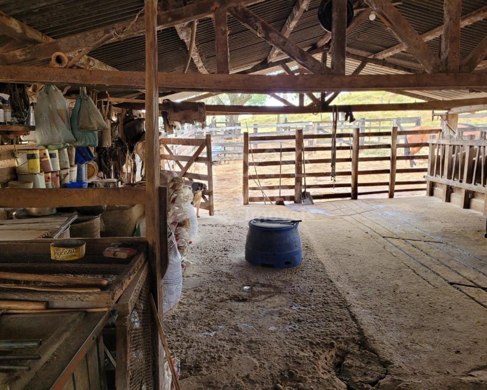 Avante Imóveis ajudando você a realizar seu sonho