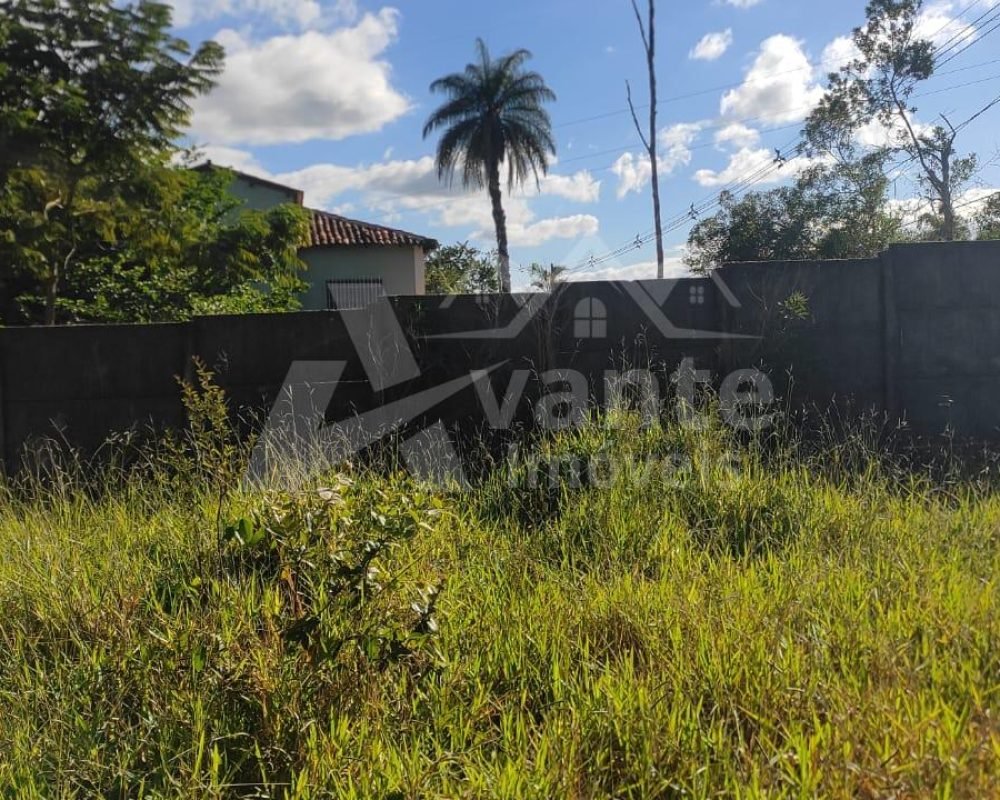 Avante Imóveis ajudando você a realizar o sonho da casa própria