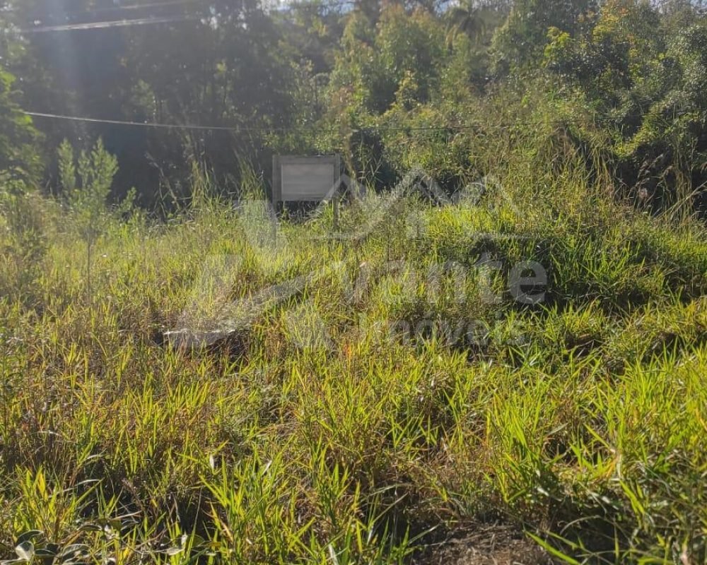 Avante Imóveis ajudando você a realizar o sonho da casa própria