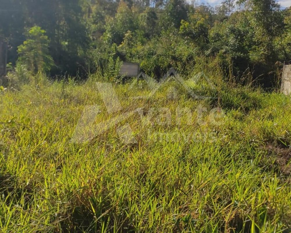 Avante Imóveis ajudando você a realizar o sonho da casa própria