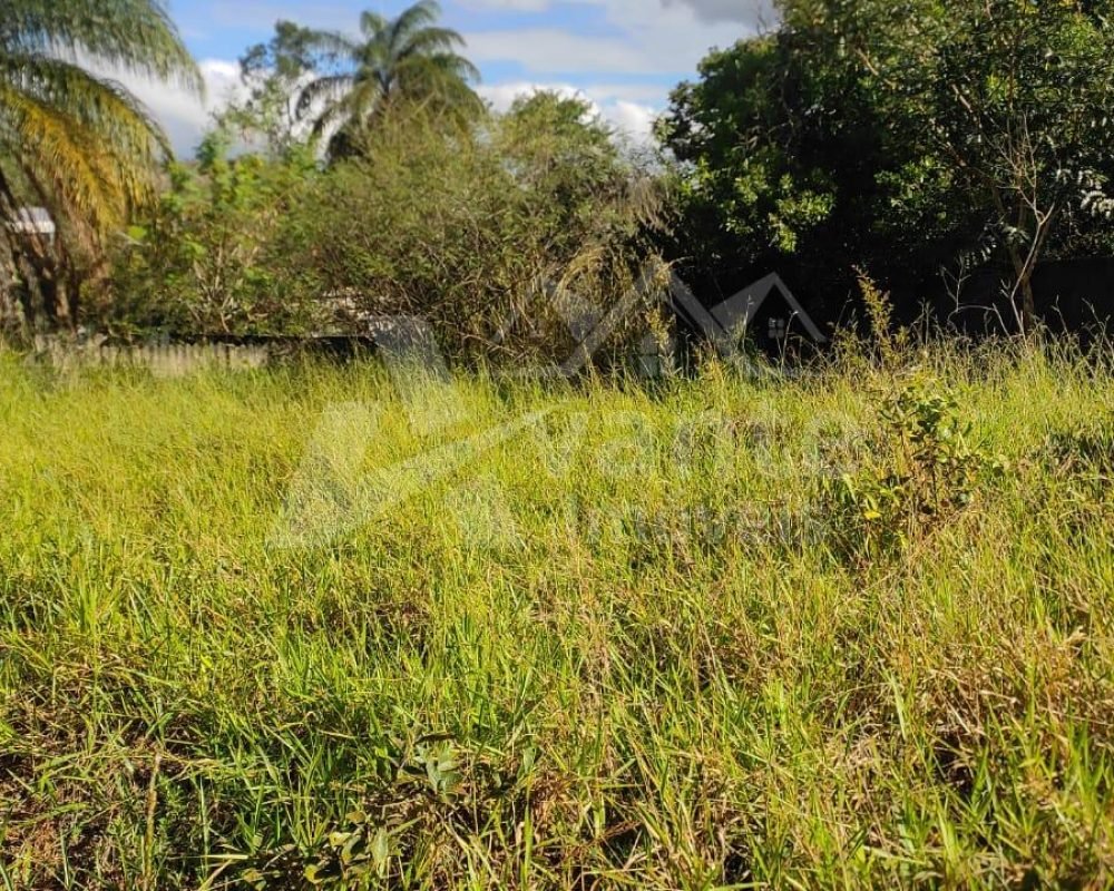 Avante Imóveis ajudando você a realizar o sonho da casa própria