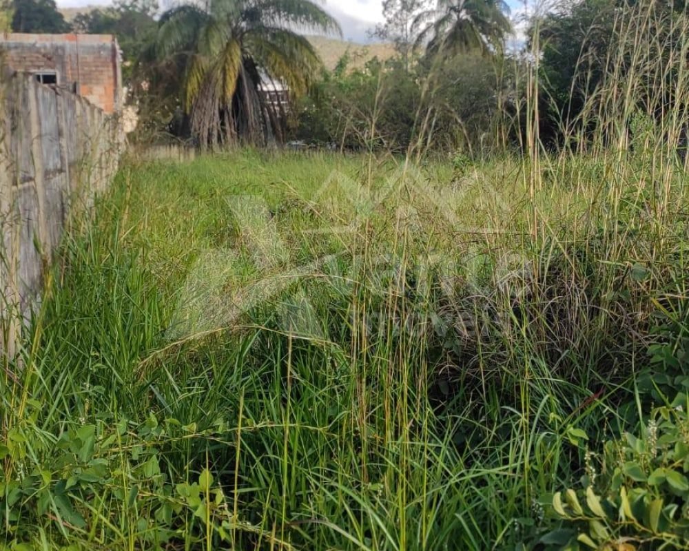 Avante Imóveis ajudando você a realizar o sonho da casa própria