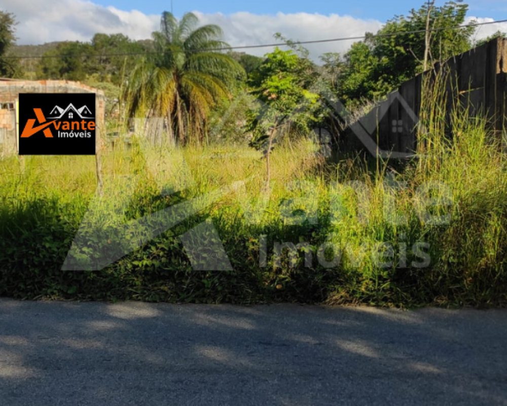 Avante Imóveis ajudando você a realizar o sonho da casa própria