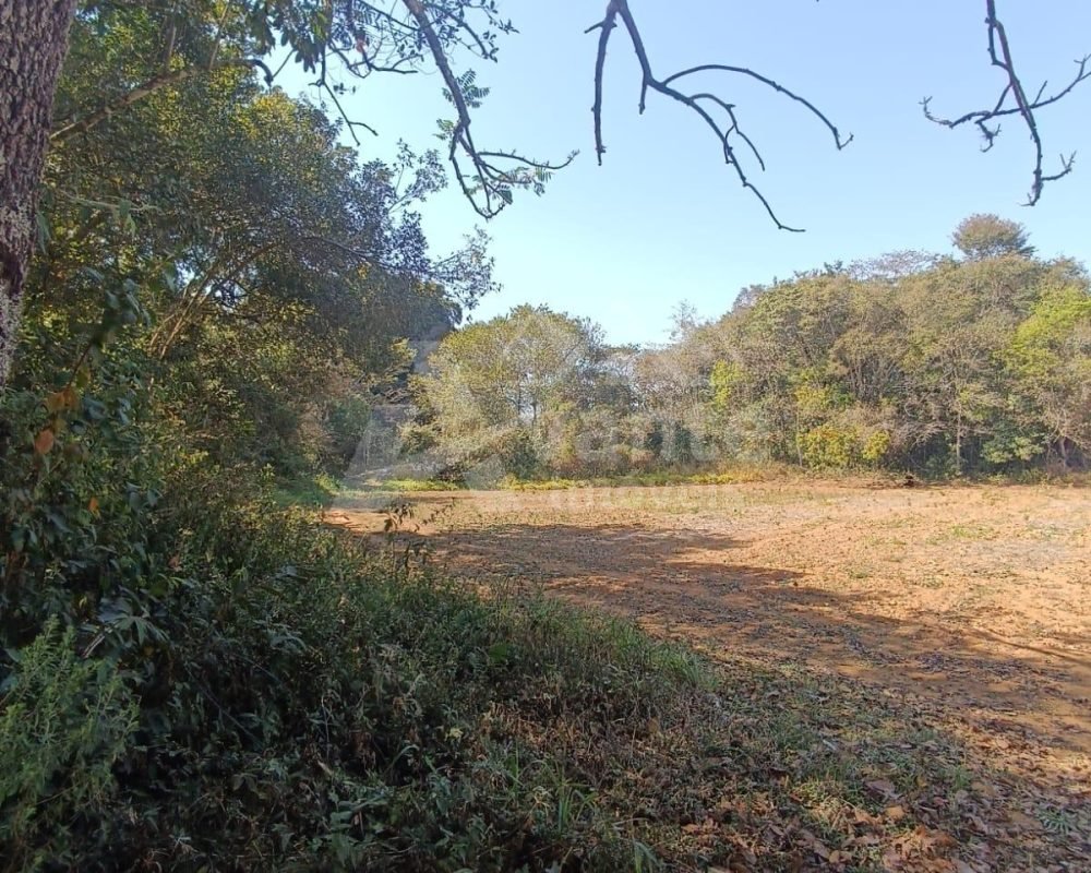 Avante Imóveis ajudando você a realizar seu sonho