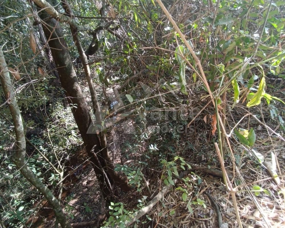 Avante Imóveis ajudando você a realizar seu sonho