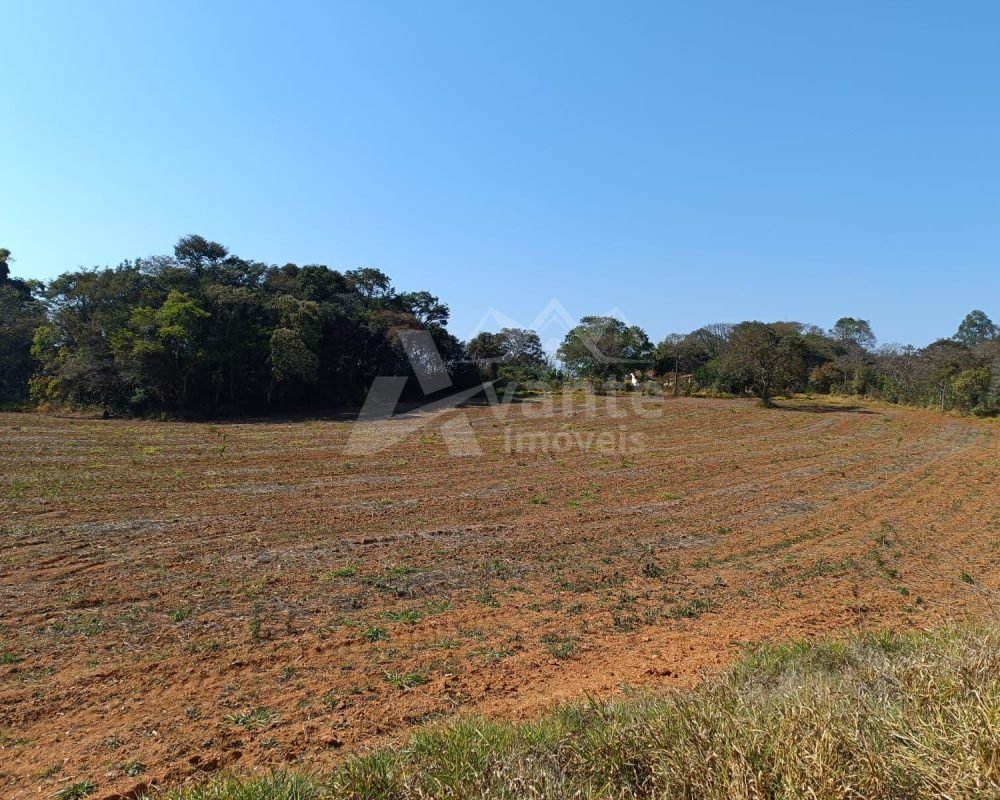 Avante Imóveis ajudando você a realizar seu sonho