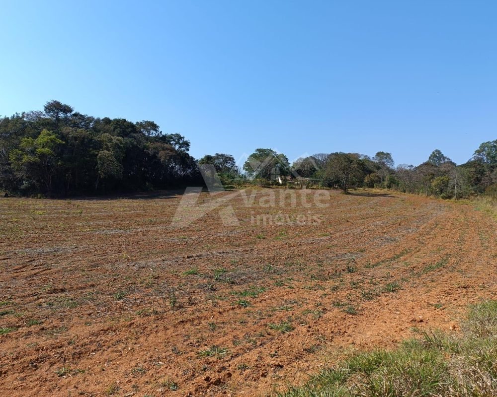 Avante Imóveis ajudando você a realizar seu sonho