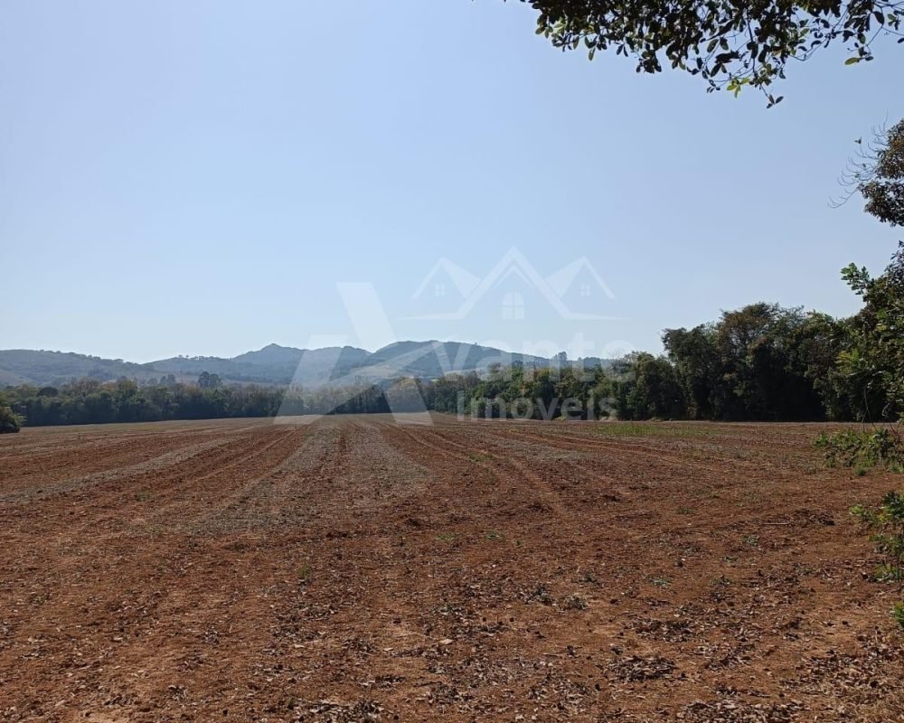 Avante Imóveis ajudando você a realizar seu sonho