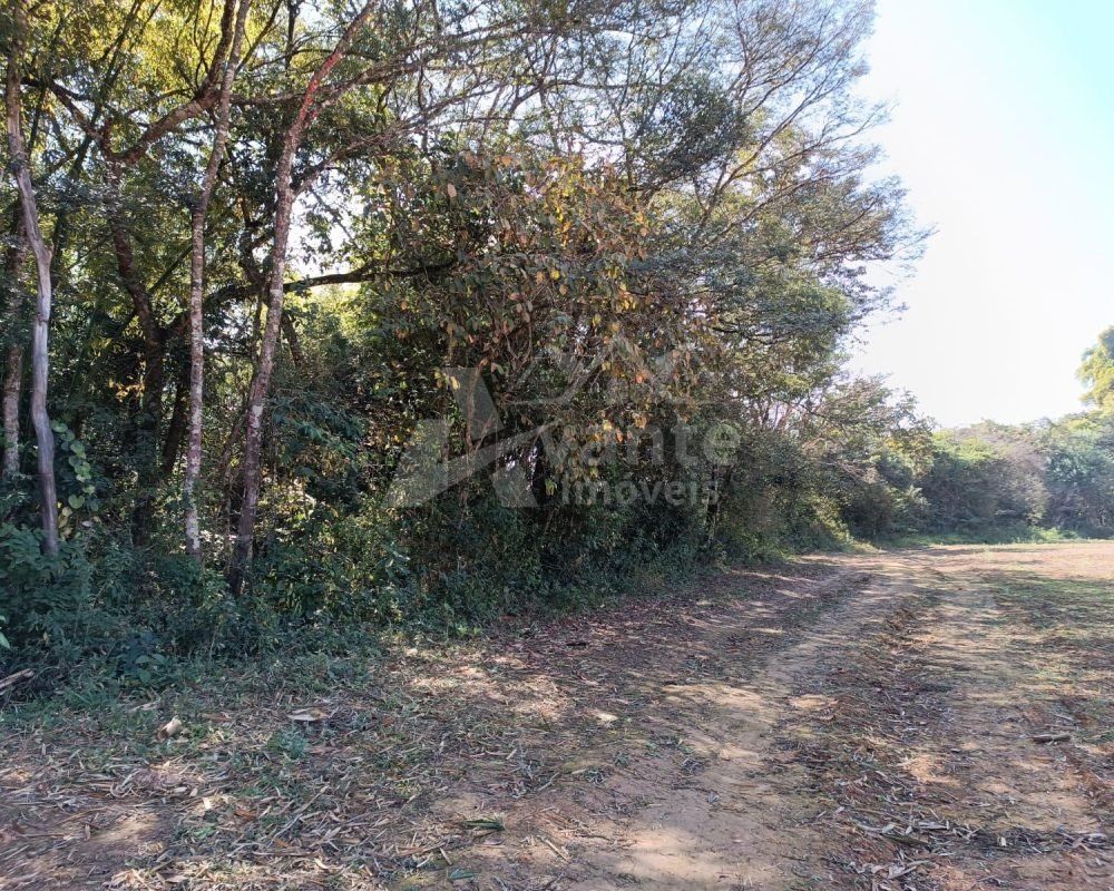 Avante Imóveis ajudando você a realizar seu sonho