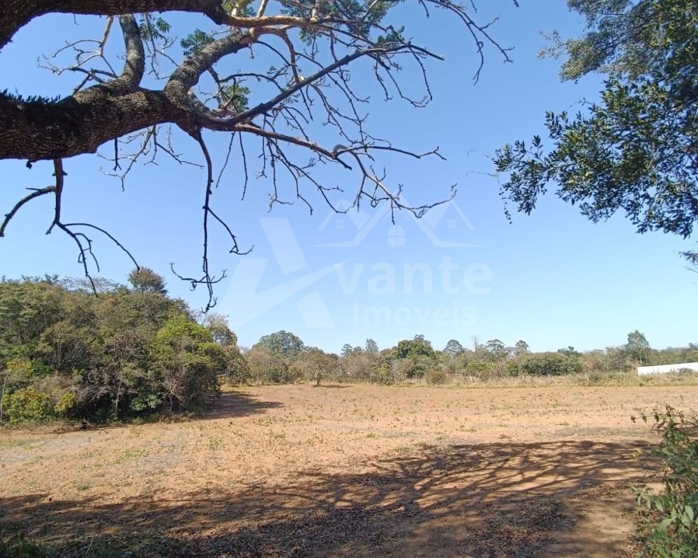 Avante Imóveis ajudando você a realizar seu sonho