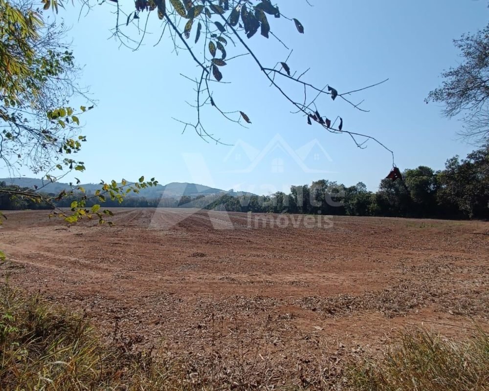 Avante Imóveis ajudando você a realizar seu sonho