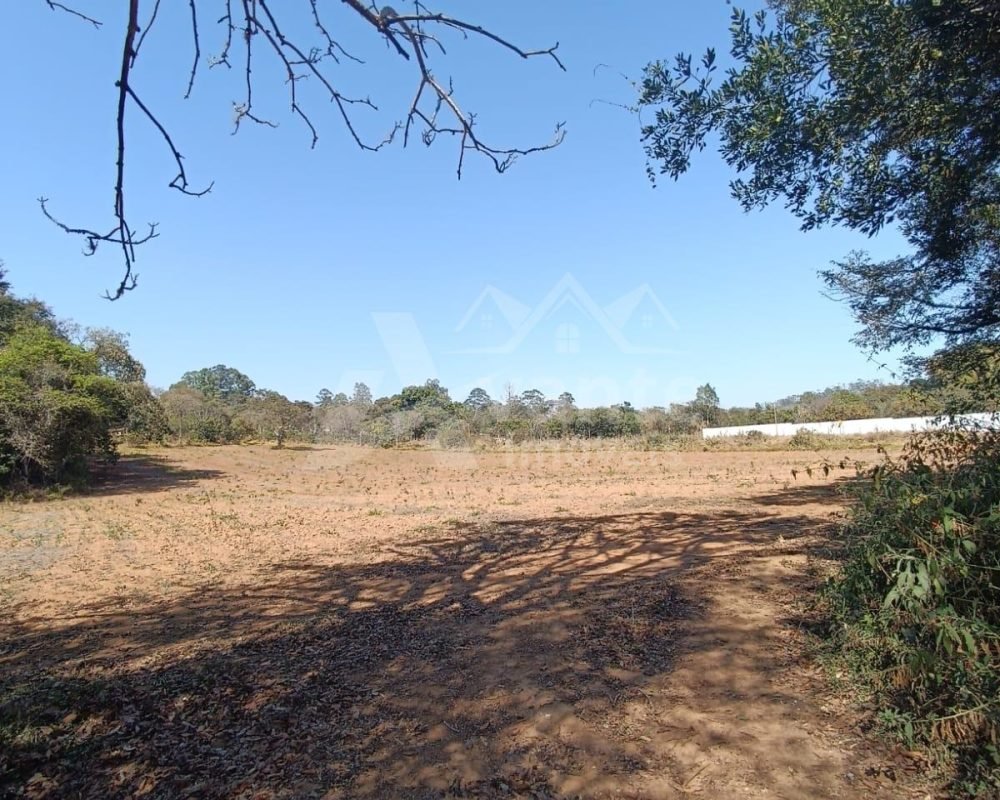 Avante Imóveis ajudando você a realizar seu sonho